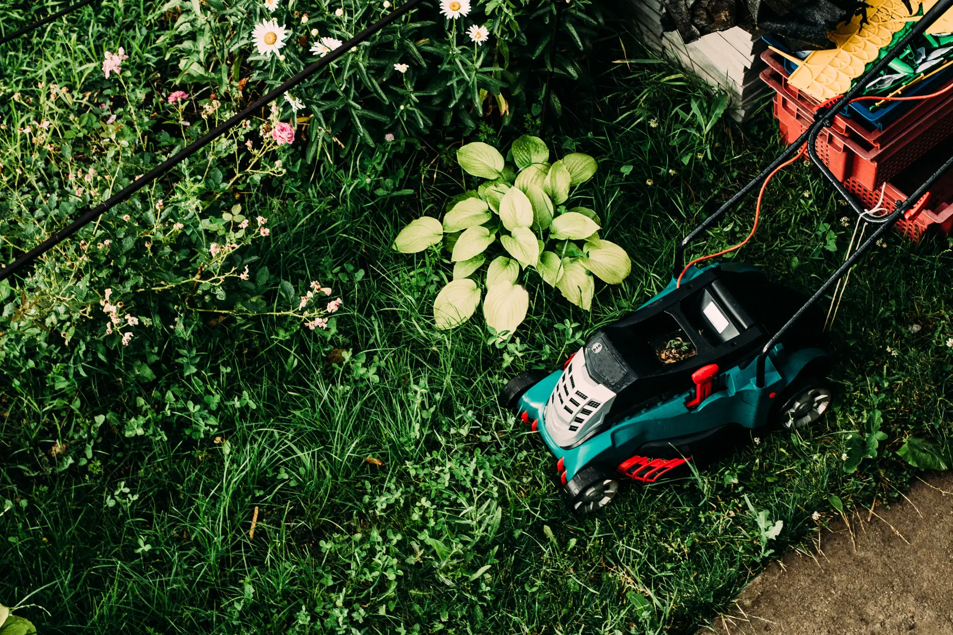 Electric vs Petrol Rotary Mowers Image